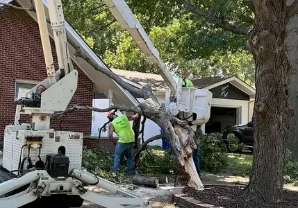 Workers in green shirts use a boom lift and saws to remove a fallen tree branch from the roof of a brick house.